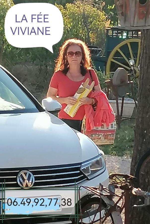 la fée viviane et michel l'enchanteur Robion en Luberon Exterior foto