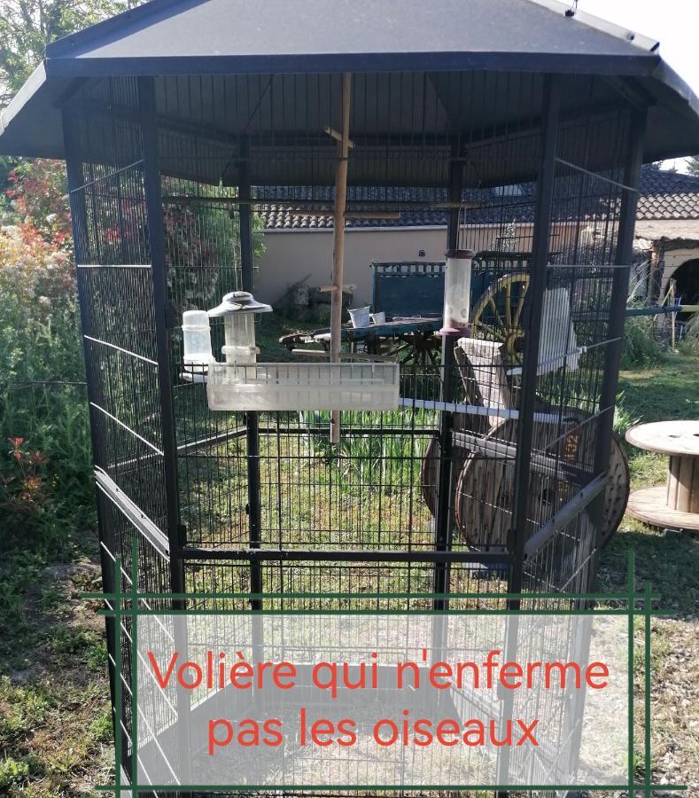 la fée viviane et michel l'enchanteur Robion en Luberon Exterior foto
