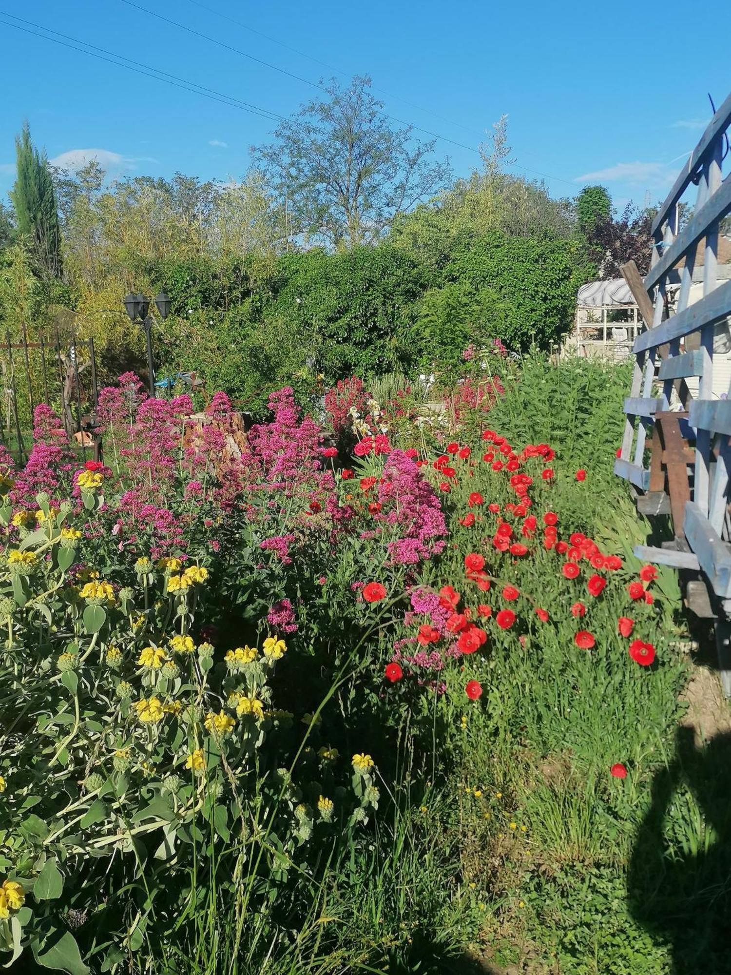 la fée viviane et michel l'enchanteur Robion en Luberon Exterior foto