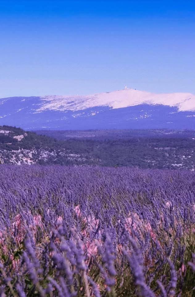 la fée viviane et michel l'enchanteur Robion en Luberon Exterior foto